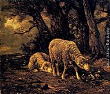 Sheep In A Forest